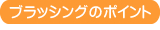 ブラッシングのポイント